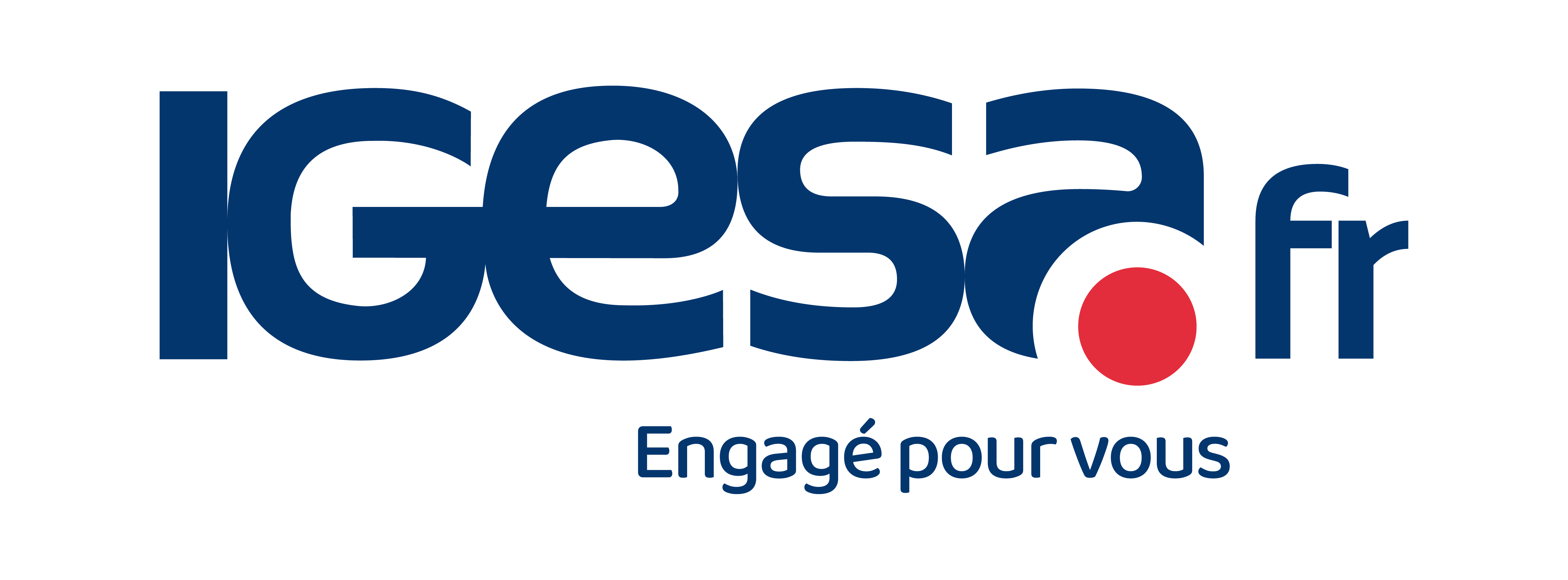 Logo IGESA